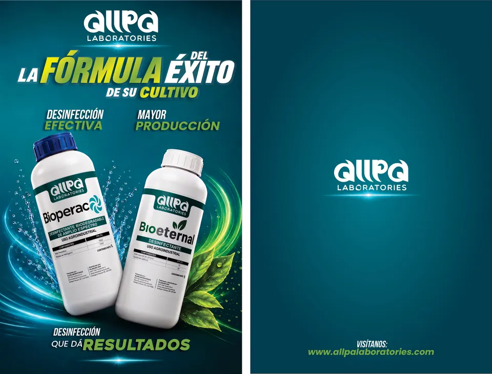 Diseño Portada Agenda 3